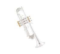 ALFAAL Bb Trumpet Quality Gold Lacquer Silver Plated Trumpet Brass Musical Instruments Composite Type Trumpet (Color : Silver)