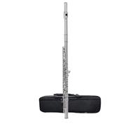 ALFAAL Beginner C Flute 16 17 Hole Flute Instrument C Key Flute Beginner Adult Exam Professional Performance Silver Plated(C)