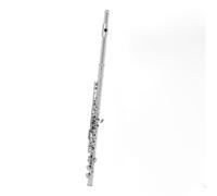 ALFAAL Beginner C Flute 16 Closed Holes C Flute Professional Transverse Flute Concert Musical Instrument With Box Stick Gloves(B)