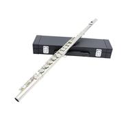ALFAAL Beginner C Flute 16 Closed Holes Flute C Key Color Flute With Leather Case Professional Performance Concert Woodwind Instrument Flute(Silver)