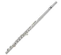 ALFAAL Beginner C Flute 16-hole Silver-plated C-key Flute Instrument Professional Performance Instrument Beginner Grading Test(B)
