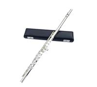 ALFAAL Beginner C Flute 16 Holes Closed C Key Flute E Mechanism Cupronickel Silvering Flute Transversal Instrumentos Musicales