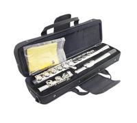 ALFAAL Beginner C Flute C Key Flutes Closed 16 Hole Flute Nickel Plated Woodwind Instrument For Beginner