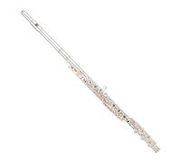 ALFAAL Beginner C Flute Flute 16 17 Closed Hole Open Hole Flute Sterling Silver Musical Instrument Professional Performance(D)