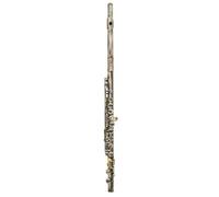 ALFAAL Beginner C Flute Flute 16 Closed Holes C Key Flute Concert Performance Flute Woodwind Instruments Transverse Flute With E Key(Bronze)
