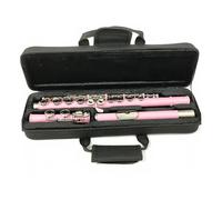ALFAAL Beginner C Flute Nickel Plated Flute With E Key 16 Close Holes C Keys Instrument Cupronickel Plated Pink Beginner With Accessories