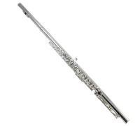 ALFAAL Beginner C Flute Silver-plated 16-hole C Key With E Key Open And Closed Hole Professional Beginner Playing Test Instrument(D)