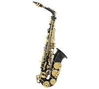 ALFAAL Beginner saxophone Alto Saxophone Eb Brass Body Carved Keys Saxophone With Reed Glove Back Rubbing Coth(A)