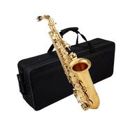 ALFAAL Beginner saxophone E Flat Alto Saxophone Instrument Beginner Adult Grade Test Saxophone Instrument With Bag