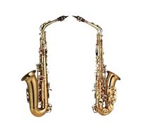 ALFAAL Beginner saxophone Eb Alto Saxophone Brass Paint 802 Key Type Saxophone Instrument With Accessories For Professional Performance
