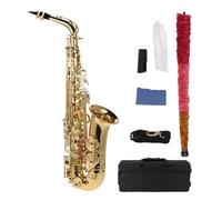 ALFAAL Eb Alto Saxophone Brass Lacquered Gold E Flat Alto Sax Woodwind Instrument With Carry Bag Sax Accessories (Color : Eb Alto Gold)