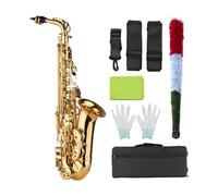ALFAAL Eb Alto Saxophone Brass Lacquered Gold E Flat Sax Woodwind Instrument With Case Sax Accessories (Color : 02)