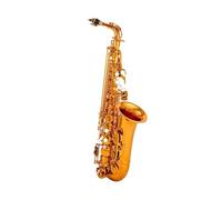 ALFAAL Eb Alto Saxophone Brass Rose Gold Lacquer Music Instrument E-flat Sax With Case Accessories (Color : 02)