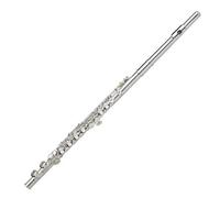 ALFAAL flute for beginners 16 Closed Hole Nickel Silver Flute Musical Instrument Beginner Grade Test Keys Smooth
