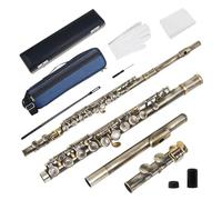 ALFAAL flute for beginners 16 Closed Holes Flute C Key Professional Transverse Flute with Box Concert Musical Instrument(Antique Bronze)