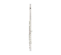 ALFAAL flute for beginners 16 Holes Flute Silver Plated C Key Flute Musical Instruments Handbag Leather Box Wiper Accessories