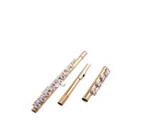ALFAAL flute for beginners 17-hole flute B tail opening and closing with silver-plated adult 17 professional exam two-level music