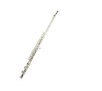 ALFAAL flute for beginners C key flute 16 holes 16 holes open hole silver plated flute