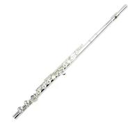 ALFAAL flute for beginners Flute Standard C Flute Double Silver Plated 16 Holes Open and Closed Dual Use Flute Comfort