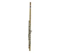 ALFAAL flute for beginners Gold Silver Flute Closed Hole C Slot - Instrumental Beginner Student Flute with Case