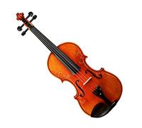 ALFAAL Hand Carved 4/4 3/4 1/2 1/4 1/8 Size Violin Fiddle Bow Case Violin Starter Kit (Color : 4-4)