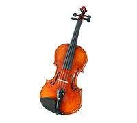 ALFAAL Hand Carved 4/4 Size Violin Handmade Fiddle One Piece Back IPE Bow Bridge Strings Case Kit Violin Starter Kit