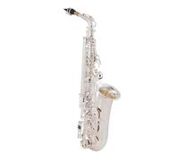 ALFAAL Instrument saxophone Eb Alto Saxophone Brass Lacquered Gold E Flat Sax Key Type Woodwind Instrument(Silver)
