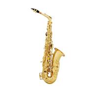 ALFAAL Instrument saxophone Gold Lacquer Body Full Set Saxophone Alto Saxophone E Flat Beginner Saxophone Complete Set