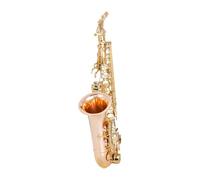 ALFAAL Instrument saxophone Phosphor Copper And White Copper Saxophone E Flat Alto Wind Instrument For Beginners To Enter The Exam And Play(Phosphor copper)