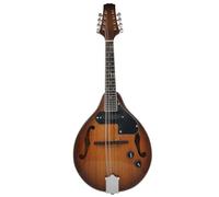 ALFAAL Mandolin Instrument For Beginners Eight-string Mandolin Electric Mandolin String Instrument For Professional Performance(C)