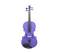 ALFAAL Pink Violin 4/4 Maple Panel For Beginners Violin Suitable Music Course Study Ornament With Practical Parts (Color : Purple)