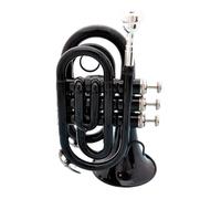 ALFAAL Pocket Trumpet Bb Flat Brass Wind Instrument With Mouthpiece Accessories Carrying Case (Color : Bk)