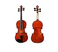 ALFAAL Popular Solid Wood Bright Violin Spruce Top 4/4 3/4 1/2 1/4 1/8 1/10 Size Violin Instrument (Color : 1/10)