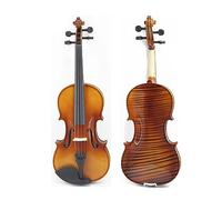 ALFAAL Professional 4/4 Violin With Case Bow Strings Student Violin (Color : 4/4)
