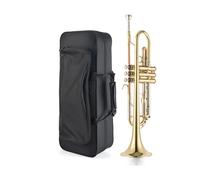 ALFAAL Professional B-flat Trumpet Instrument Beginner Performance Level Adult Lacquer Gold
