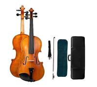 ALFAAL Professional Full Size Violin Fiddle Two Piece Back Flamed Wood Handcraft Workshop Handmade Violin