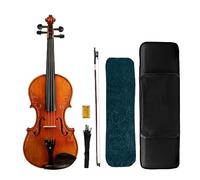 ALFAAL Professional Handmade Violin Set 4/4 Wood Spruce Back Flamed Maple Violin With Case (Color : 01)