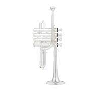 ALFAAL Professional High Trumpet Bb Piccolo Trumpet Brass Gold Silver Lacquer Surface Trumpet (Color : Silver)