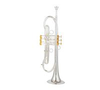 ALFAAL Professional Trumpet Bb Tune Brass Gold Plated Surface Professional Music Instruments With Case (Color : Silver)