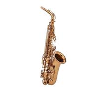 ALFAAL Saxophone Instrument Playing Alto E Flat Professional Performance Level (Color : 01)
