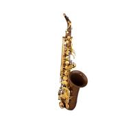 ALFAAL Saxophone Instrument Professional Playing Alto E Flat For Adult Beginners (Color : 02)