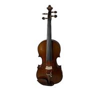 ALFAAL Snake Grain Wood Handmade Performance Adult Violin 4/4 3/4 1/2 1/4 1/8 1/10 Size Violin Instrument (Color : 1/2)