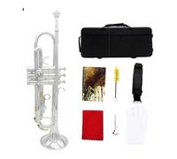ALFAAL Standard Brass Bb trumpet brass body trumpet set with storage box accessories professional brass instrument B flat(Color:3)