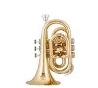 ALFAAL Standard Brass Palm Trumpet Portable Micro Pocket Trumpet Brass Music Beginner Grade Exam Performance