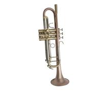 ALFAAL Standard Brass Popular Bb Trumpet Brass Lacquered Metal Musical Instrument Professional Boxed Gloves