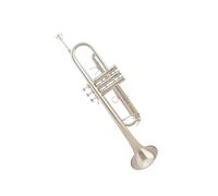 ALFAAL Standard Brass Professional Beginner Trumpet B Fall Gold Lacquer Trumpet Trombone Instrument with Trumpet Mouthpiece(Color:Silver)