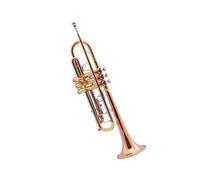 ALFAAL Standard Brass Professional performance grade phosphor bronze trumpet trumpet instrument graded brass instrument trumpet