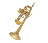 ALFAAL Standard Brass Professional trumpet in B-flat key heavy-duty brushed white copper voice-changing tube free luggage