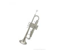 ALFAAL Standard Brass Silver trumpet instrument performance test wind instrument brass nickel plated