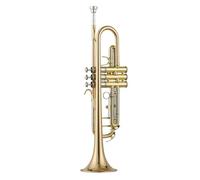 ALFAAL Standard Brass Trumpet instrument B flat student plays brass and wind instrument for grade examination